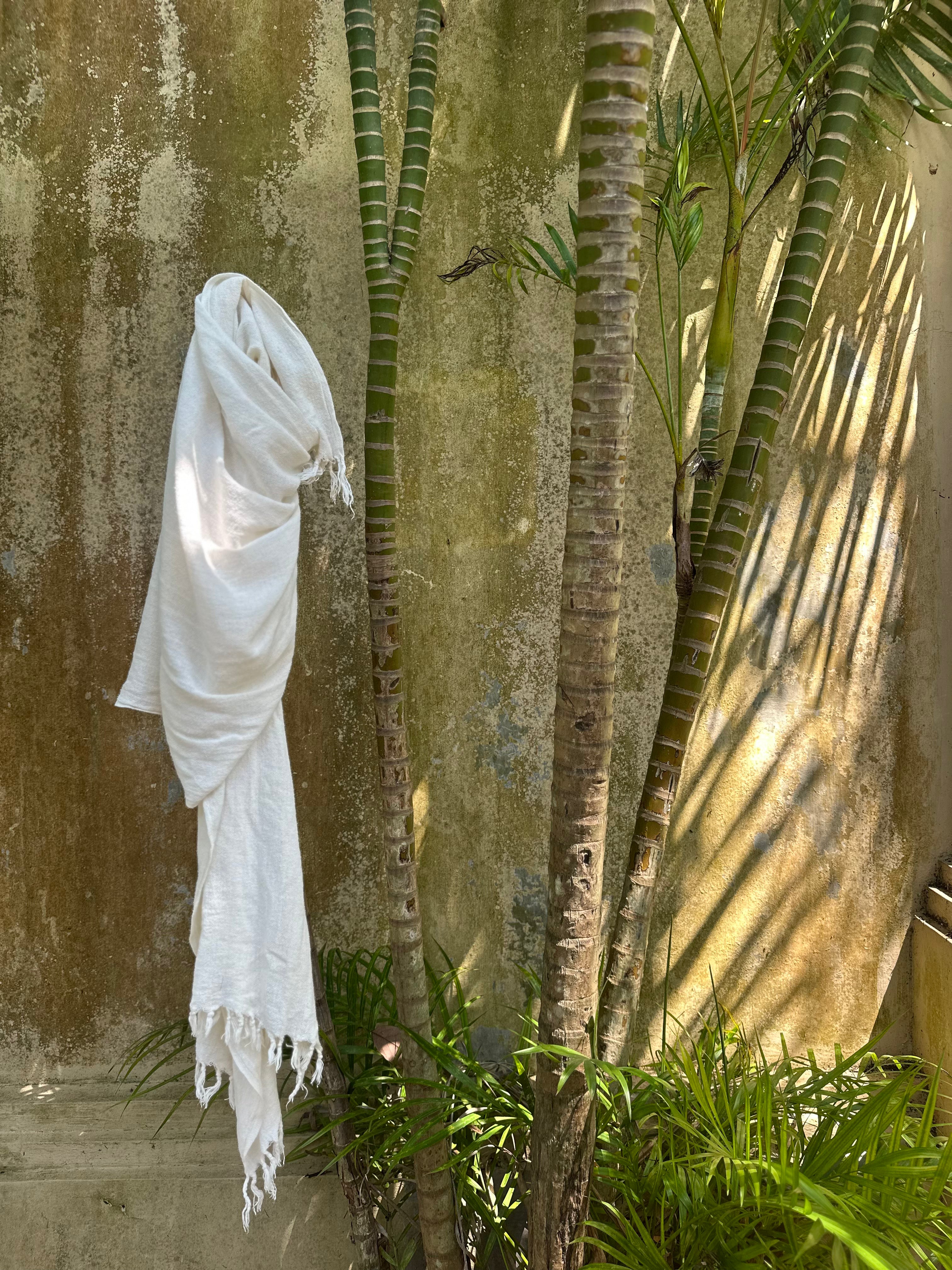 Cotton Sarong - Cream