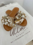 seashell slides