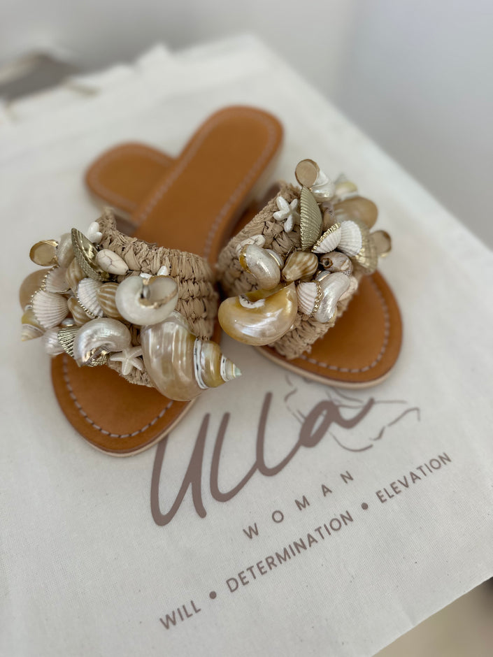 seashell slides